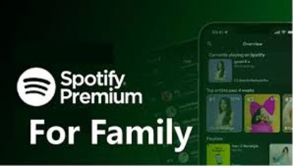 Picture of Spotify Premium Family Subscription